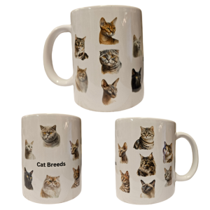 Mugg – Cat Breeds – Breeds