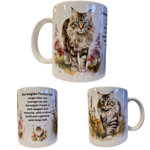 Mugg – Cat Breed – Norwegian Forest Cat